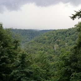 large scenic mountain forest overlook