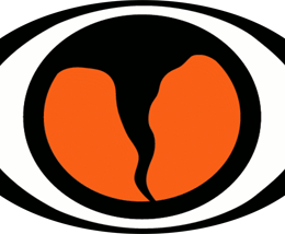 SKYWARN Logo