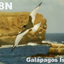 HC8N Ham Radio QSL Card from Galopagos Islands
