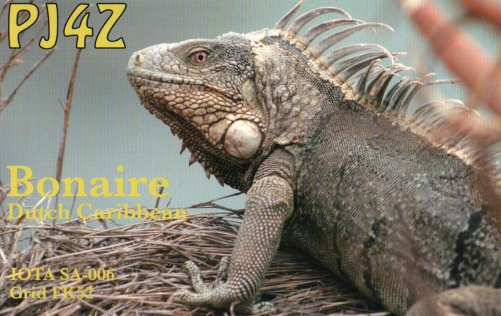Bonaire QSL Card with reptile in picture