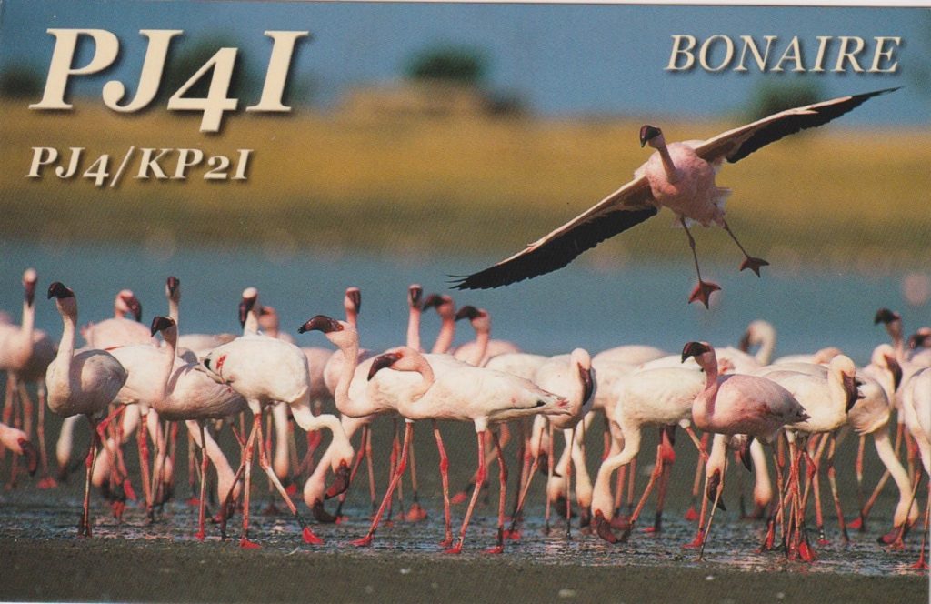 Bonaire QSL Card with flamingos