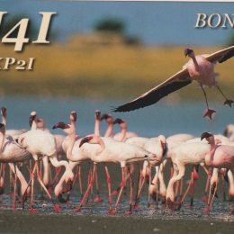 PJ4I Ham Radio QSL Card from Bonaire