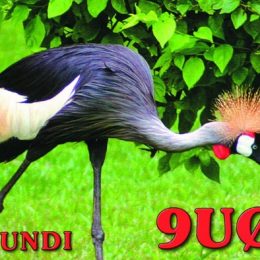 9U0A Ham Radio QSL Card from Burundi