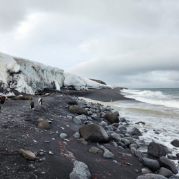 Bouvet island Shore