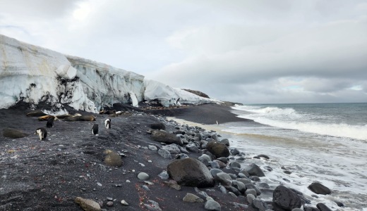 3Y0J Team Returns After Historic Bouvet Island Activation
