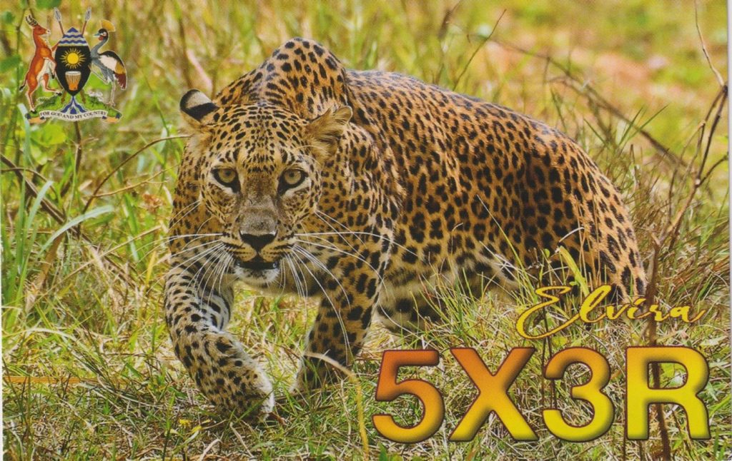 Uganda QSL Card with leopard