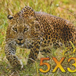 5X3R ham radio QSL Card from Uganda