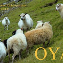 OY Ham Radio QSL Card from Faroe Islands