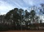 Product Spotlight: Boost Your Top Band Capabilities with the DX Engineering 160 Meter THUNDERBOLT® Vertical Antenna