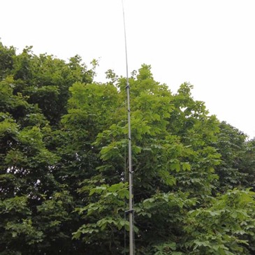 vertical antenna standing against a forest background