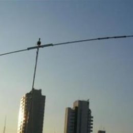 diex dipole antenna at unset