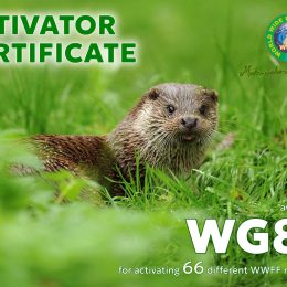 WG8X Ham Radio Certificate