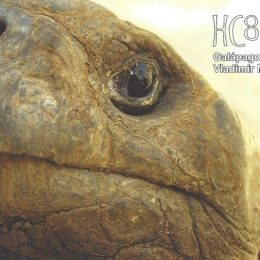 Hc8RT Galapagos Islands Ham Radio QSL Card
