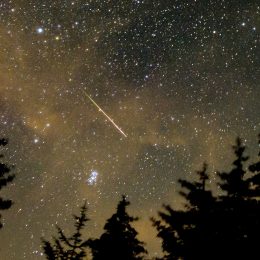 Perseid Meteor Shower