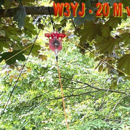 DX Engineering Wire Antenna kit deployed in trees