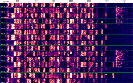 FT8 signals in the 40M band