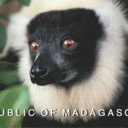 5R8GQHam Radio QSL Card from Madagascar