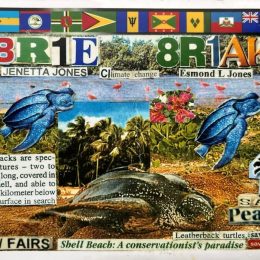 Ham Radio QSL card from Leguan Island